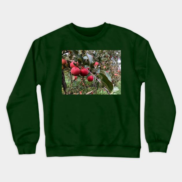 Apple Branch in the Apple Orchard Crewneck Sweatshirt by Humerushumor